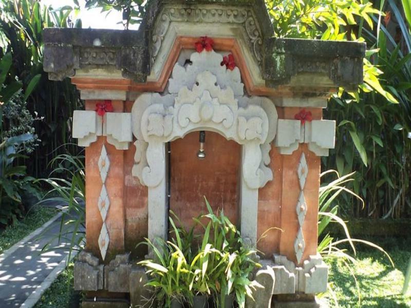 Ala'S Green Lagoon Ubud  Luaran gambar