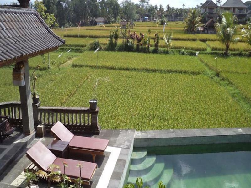 Ala'S Green Lagoon Ubud  Luaran gambar